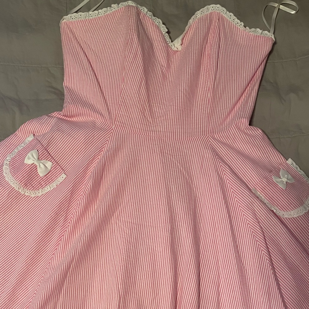 Wax Poetic Clothing XL Pink Gingham Circle Dress